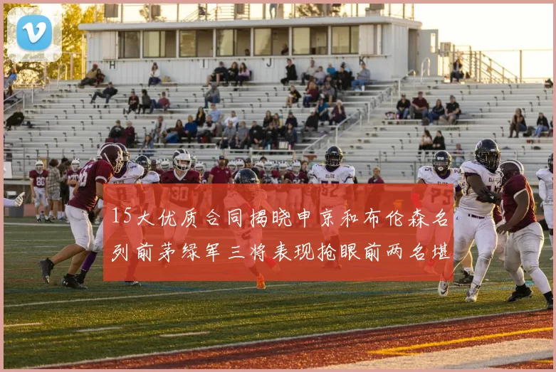 15大优质合同揭晓申京和布伦森名列前茅绿军三将表现抢眼前两名堪称传奇